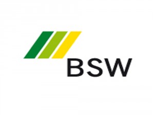 BSW